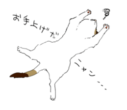 Katyusha of the tortoiseshell cat sticker #3124401