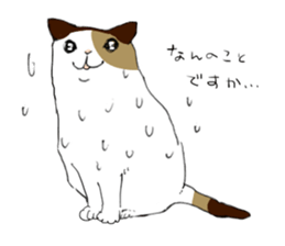 Katyusha of the tortoiseshell cat sticker #3124403