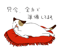 Katyusha of the tortoiseshell cat sticker #3124414