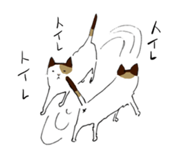 Katyusha of the tortoiseshell cat sticker #3124418