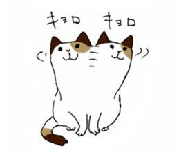 Katyusha of the tortoiseshell cat sticker #3124420