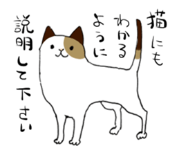 Katyusha of the tortoiseshell cat sticker #3124421