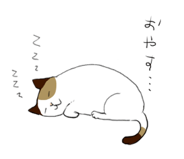 Katyusha of the tortoiseshell cat sticker #3124426