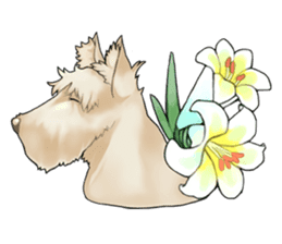 My Dog Sticker Smile ver. sticker #3124838