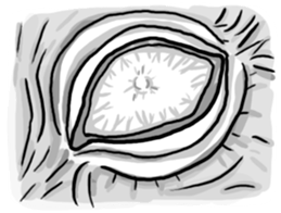 YURU Witch sticker #3126250