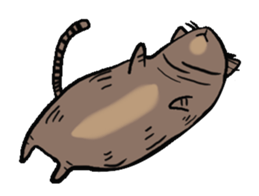 Meow Box sticker #3130071