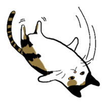 Meow Box sticker #3130075