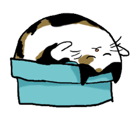 Meow Box sticker #3130077