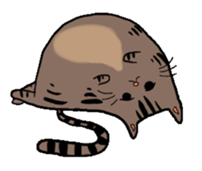 Meow Box sticker #3130078