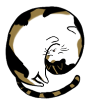 Meow Box sticker #3130081