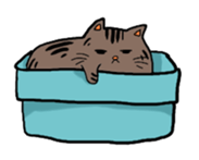 Meow Box sticker #3130082