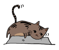 Meow Box sticker #3130083