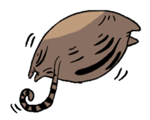 Meow Box sticker #3130084