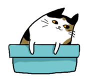 Meow Box sticker #3130087
