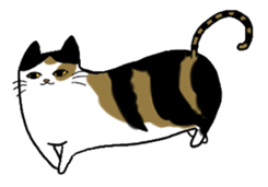 Meow Box sticker #3130088