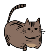 Meow Box sticker #3130093