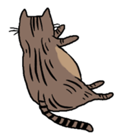 Meow Box sticker #3130095