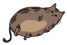 Meow Box sticker #3130096