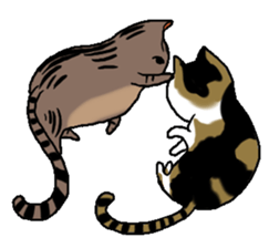 Meow Box sticker #3130100