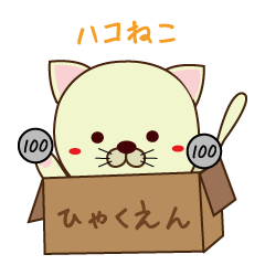 box in cat