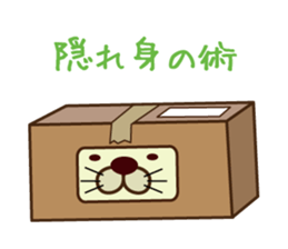 box in  cat sticker #3131285