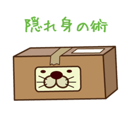 box in  cat sticker #3131285