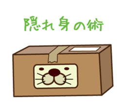 box in cat sticker #3131285