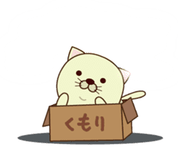 box in cat sticker #3131289