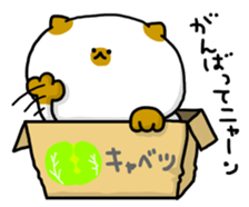 cardboard box cat sticker #3133077