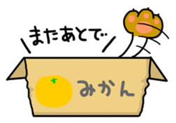 cardboard box cat sticker #3133088