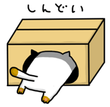 cardboard box cat sticker #3133089