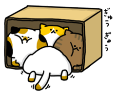 cardboard box cat sticker #3133090