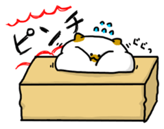 cardboard box cat sticker #3133095