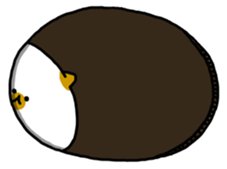 cardboard box cat sticker #3133097