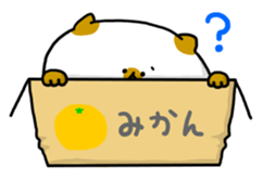 cardboard box cat sticker #3133106