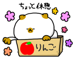 cardboard box cat sticker #3133107