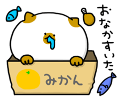 cardboard box cat sticker #3133112