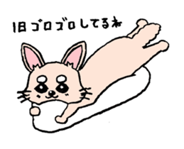 kinatan of chihuahua sticker #3133720