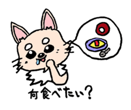 kinatan of chihuahua sticker #3133724