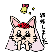 kinatan of chihuahua sticker #3133754