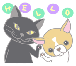 Black cat and Chihuahua sticker #3133756