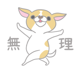 Black cat and Chihuahua sticker #3133762