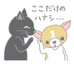Black cat and Chihuahua sticker #3133776