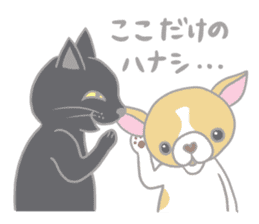 Black cat and Chihuahua sticker #3133776