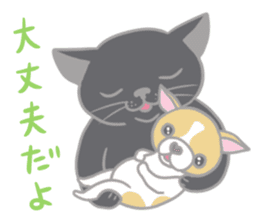 Black cat and Chihuahua sticker #3133793