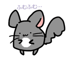 Chinchilla and Rabbit sticker #3133880