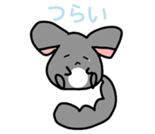 Chinchilla and Rabbit sticker #3133907