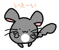 Chinchilla and Rabbit sticker #3133913