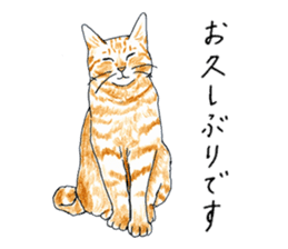 brown tabby cat koto-chan part3 sticker #3134115