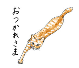 brown tabby cat koto-chan part3 sticker #3134118